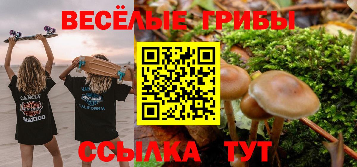 Псилоцибиновые грибы Cubensis Подольск