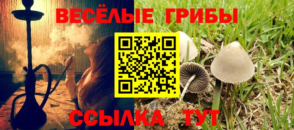Подольск  Псилоцибиновые грибы Psilocybe  наркота  Галлюциногенные грибы Cubensis  Вход с VPN 