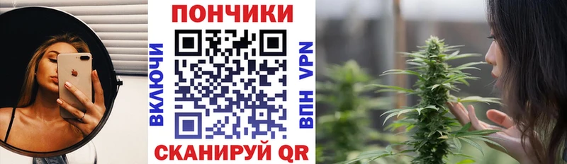 Бошки марихуана марихуана  Подольск 